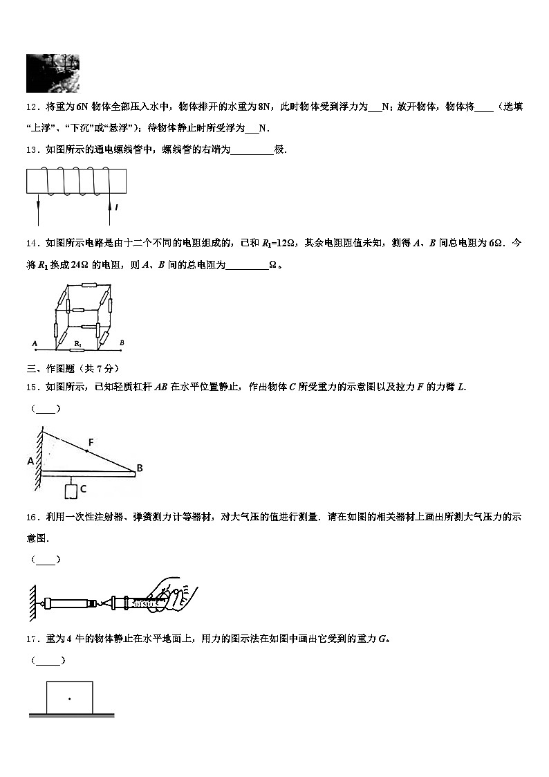 2025-2026学年湖北省恩施土家族苗族自治州中考物理适应性模拟试题（含答案解析）第3页