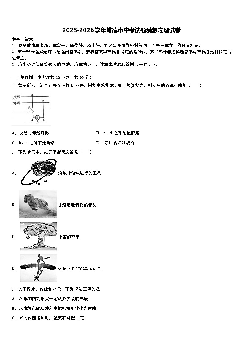 2025-2026学年常德市中考试题猜想物理试卷（含答案解析）第1页