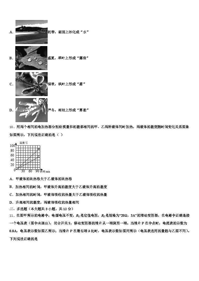 2026届齐齐哈尔市中考押题物理预测卷（含答案解析）第3页