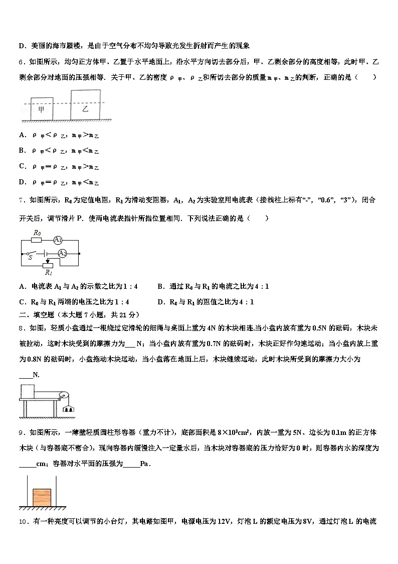 成都市2025-2026学年中考物理仿真试卷（含答案解析）第2页