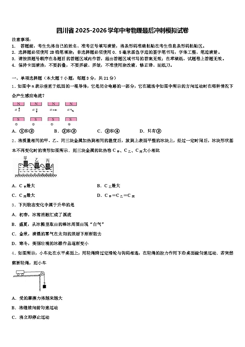 四川省2025-2026学年中考物理最后冲刺模拟试卷（含答案解析）第1页