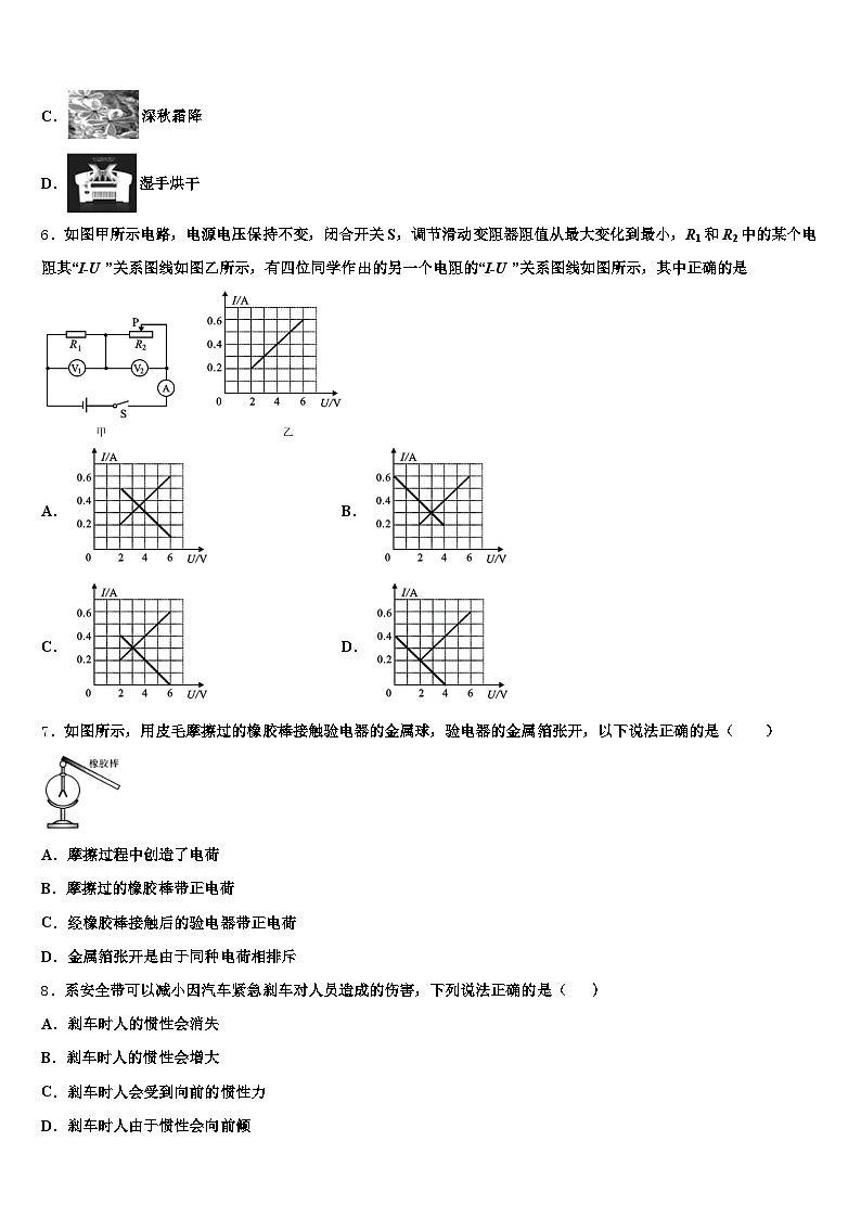 青海省玉树藏族自治州2025-2026学年中考物理五模试卷（含答案解析）第2页