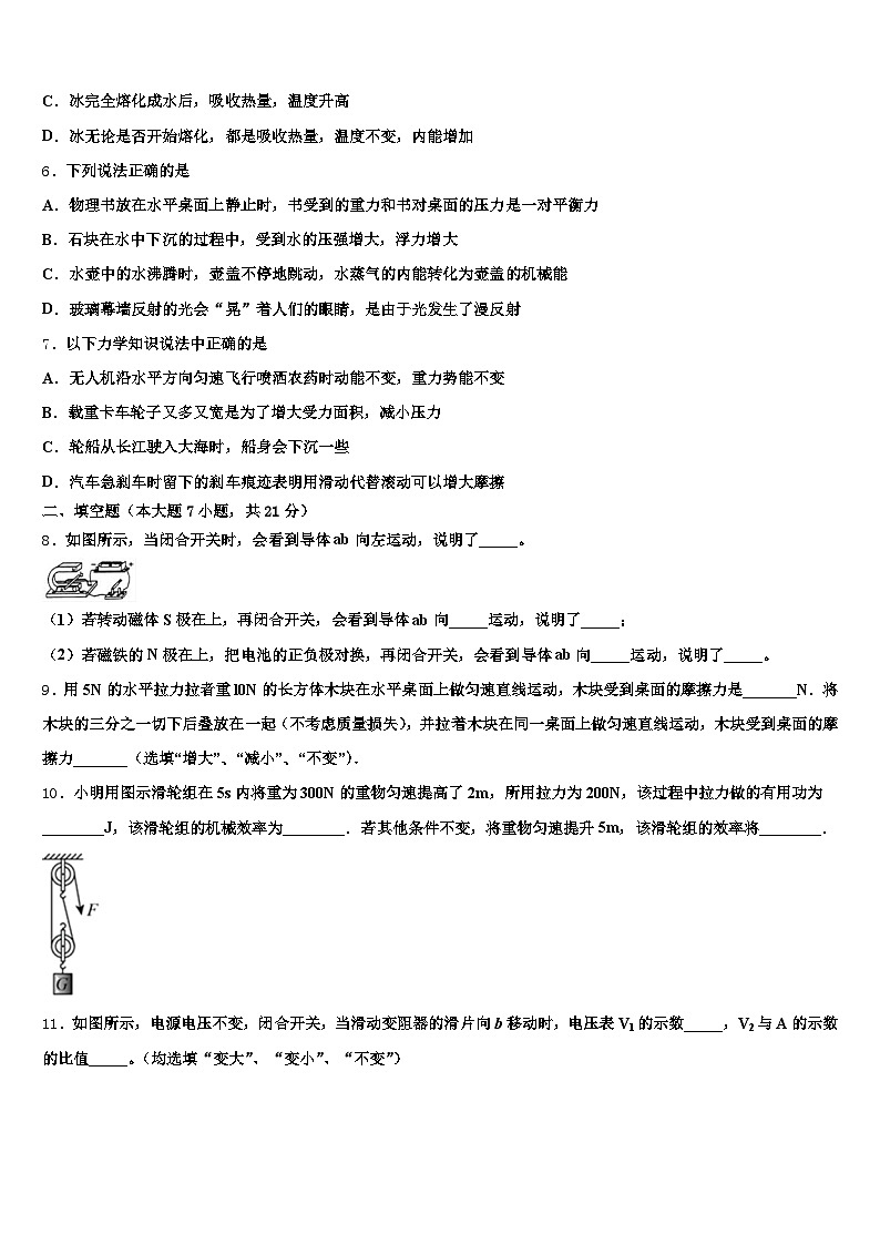 乐山市2026年中考试题猜想物理试卷（含答案解析）第2页