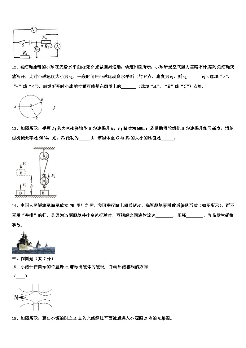 乐山市2026年中考试题猜想物理试卷（含答案解析）第3页