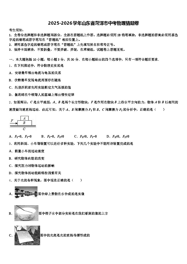 2025-2026学年山东省菏泽市中考物理猜题卷（含答案解析）第1页