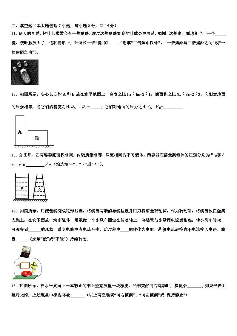 2025-2026学年山东省菏泽市中考物理猜题卷（含答案解析）第3页