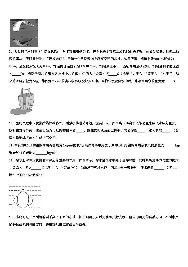 自贡市2026年中考物理猜题卷（含答案解析）第3页
