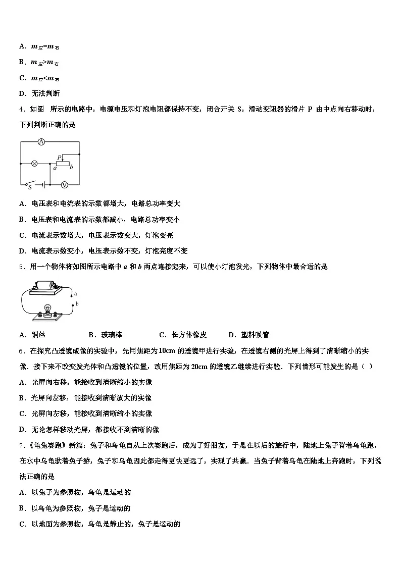 洛阳市2025-2026学年中考押题物理预测卷（含答案解析）第2页
