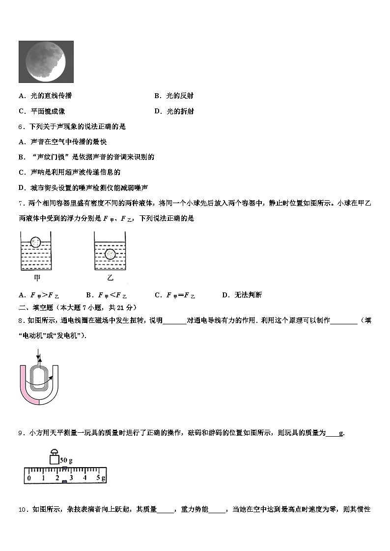 河北省廊坊市2025-2026学年中考物理模试卷（含答案解析）第2页