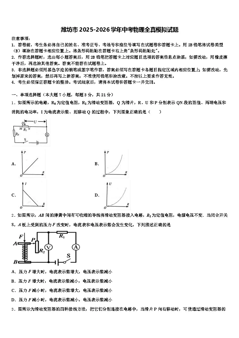 潍坊市2025-2026学年中考物理全真模拟试题（含答案解析）第1页