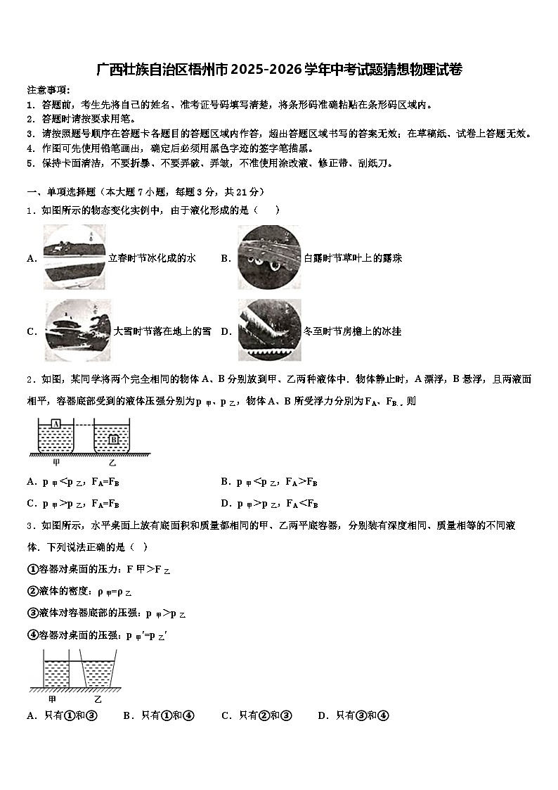 广西壮族自治区梧州市2025-2026学年中考试题猜想物理试卷（含答案解析）第1页