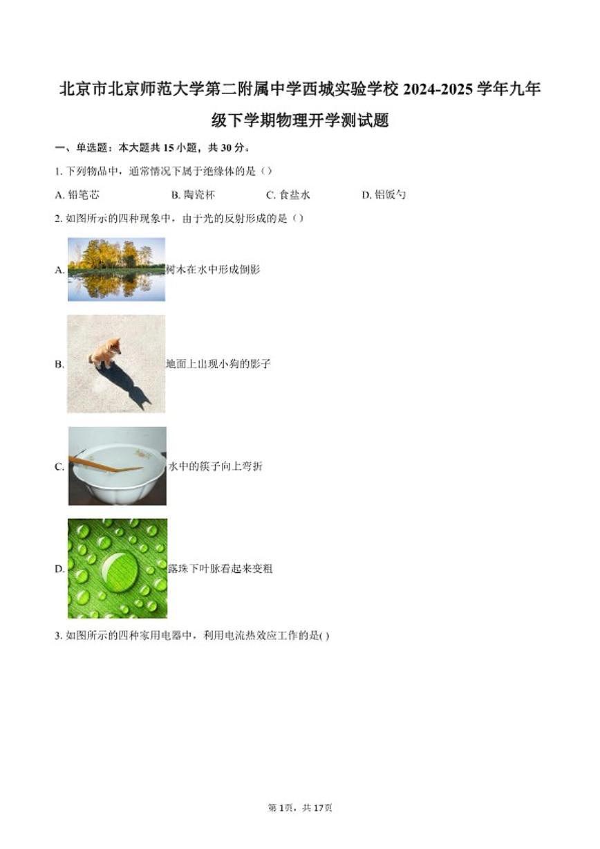 2024-2025学年北京市北京师范大学第二附属中学西城实验学校九年级下学期物理开学测试题（含答案） (1)第1页