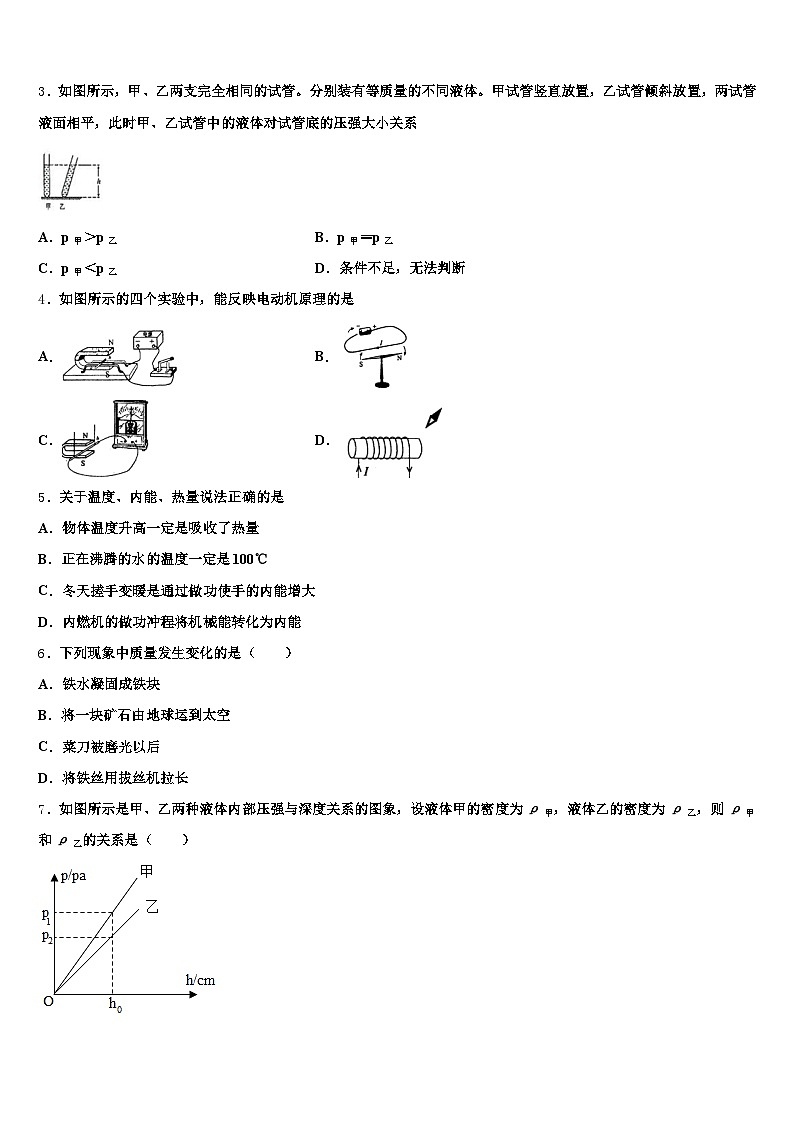 2026年上饶市中考物理全真模拟试题（含答案解析）第2页