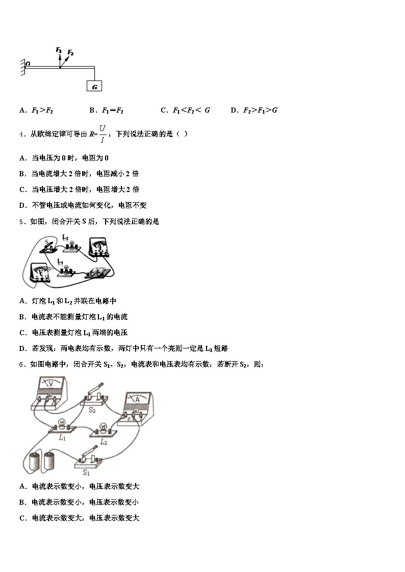 2025-2026学年阜阳市中考试题猜想物理试卷（含答案解析）第2页