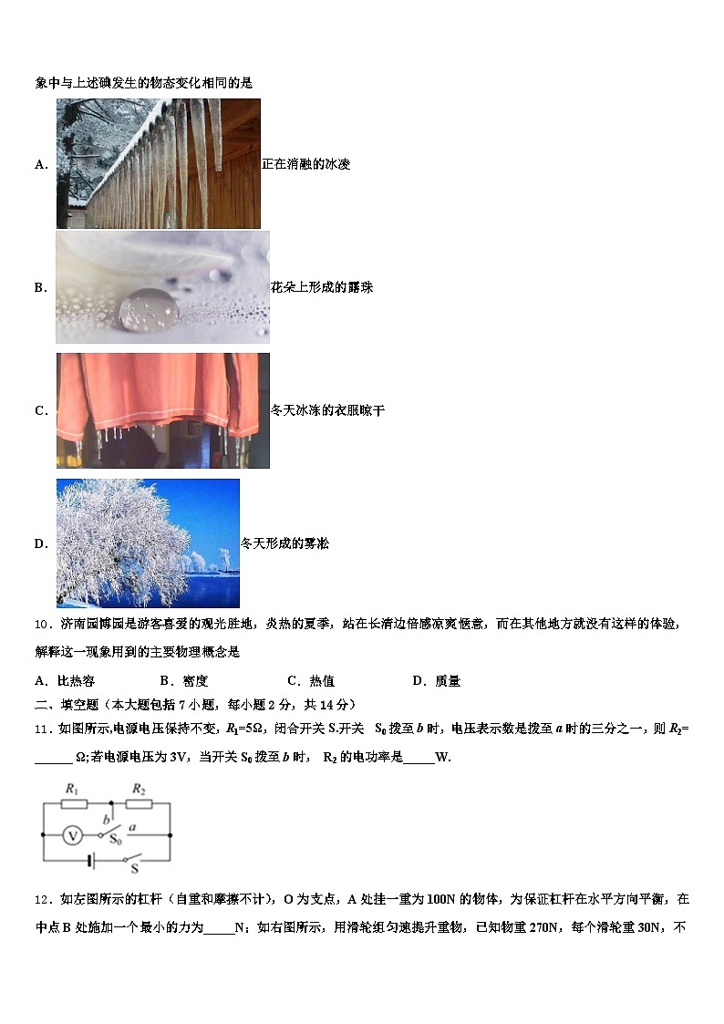 2025-2026学年内蒙古自治区呼伦贝尔市中考考前最后一卷物理试卷（含答案解析）第3页