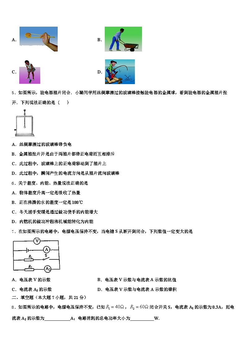 甘肃省金昌市2026年中考物理押题试卷（含答案解析）第2页