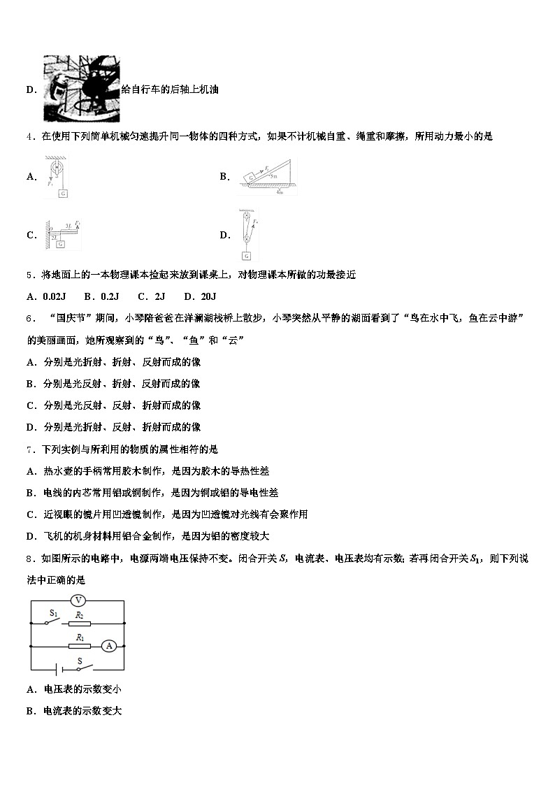 西藏自治区阿里地区2026年中考物理全真模拟试卷（含答案解析）第2页