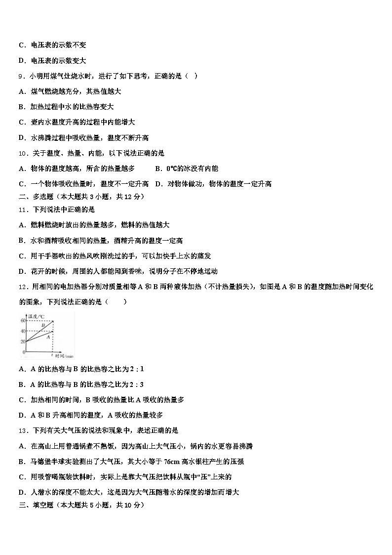 西藏自治区阿里地区2026年中考物理全真模拟试卷（含答案解析）第3页