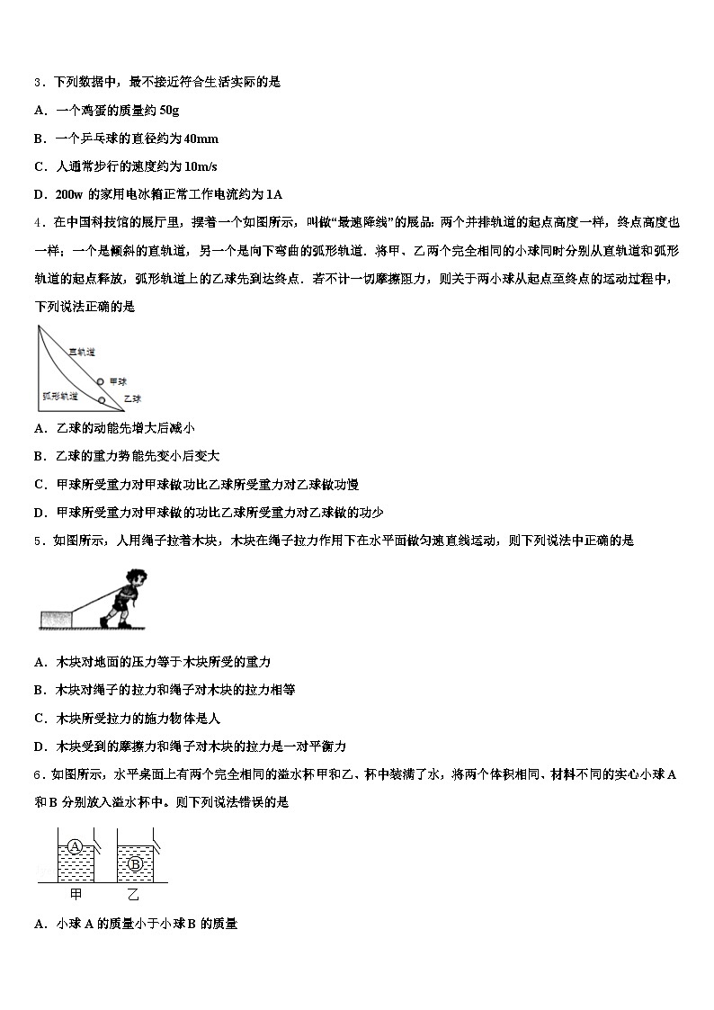 2025-2026学年青海省玉树藏族自治州中考二模物理试题（含答案解析）第2页