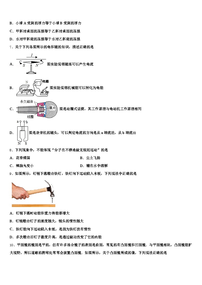 2025-2026学年青海省玉树藏族自治州中考二模物理试题（含答案解析）第3页