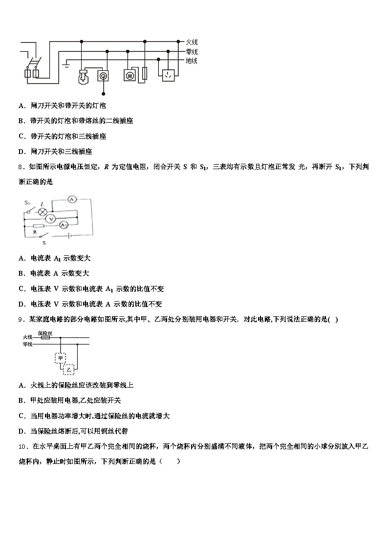 2025-2026学年连云港市中考试题猜想物理试卷（含答案解析）第3页