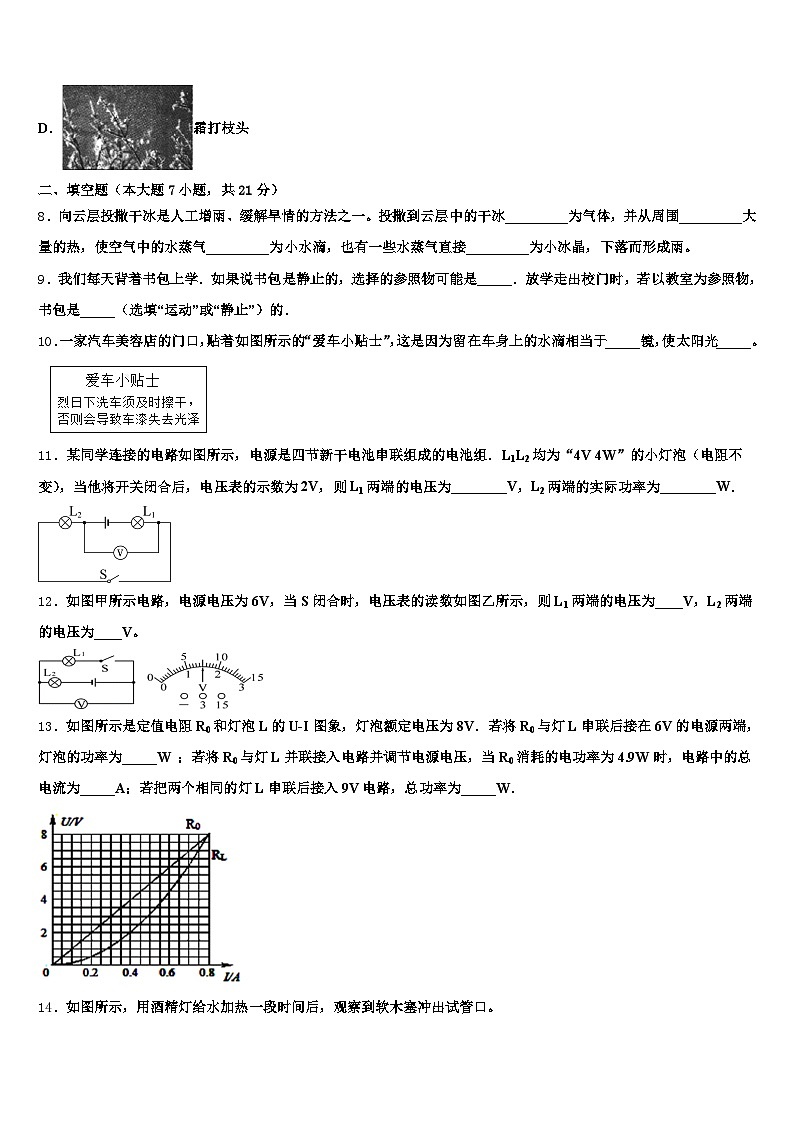 山东省菏泽市2025-2026学年中考猜题物理试卷（含答案解析）第3页