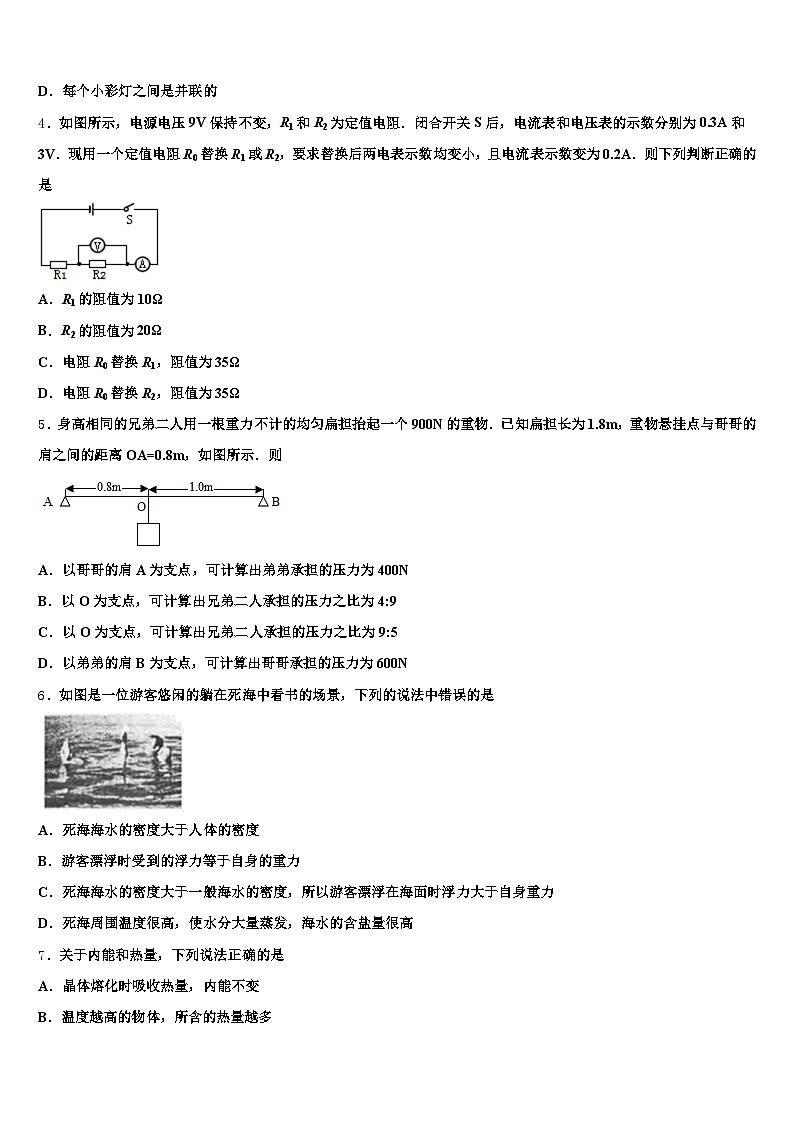 2026届辽宁省大连市中考物理仿真试卷（含答案解析）第2页