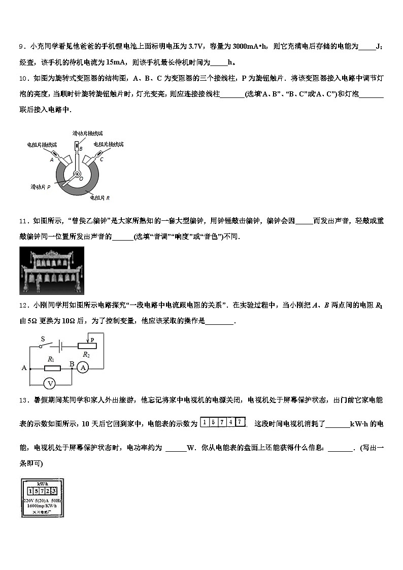 2026届云南省保山市中考物理最后冲刺模拟试卷（含答案解析）第3页