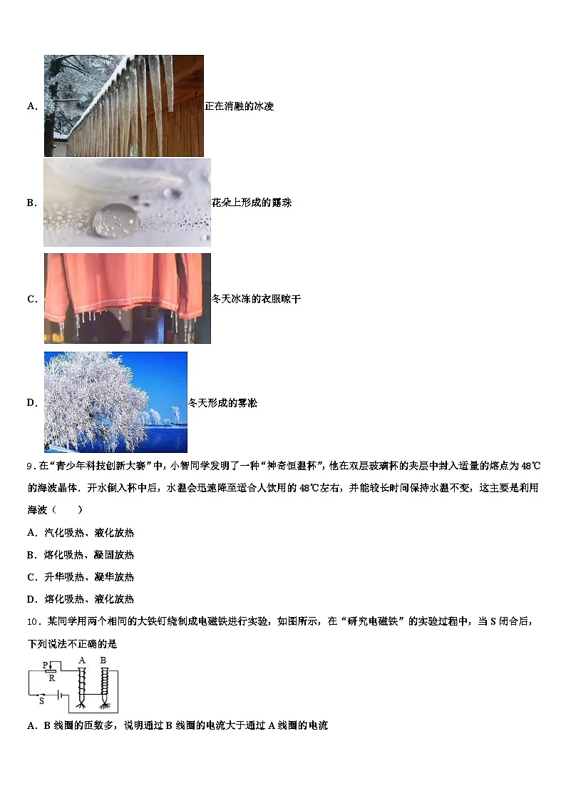2026年新疆维吾尔自治区伊犁哈萨克自治州中考物理模拟预测题（含答案解析）第3页