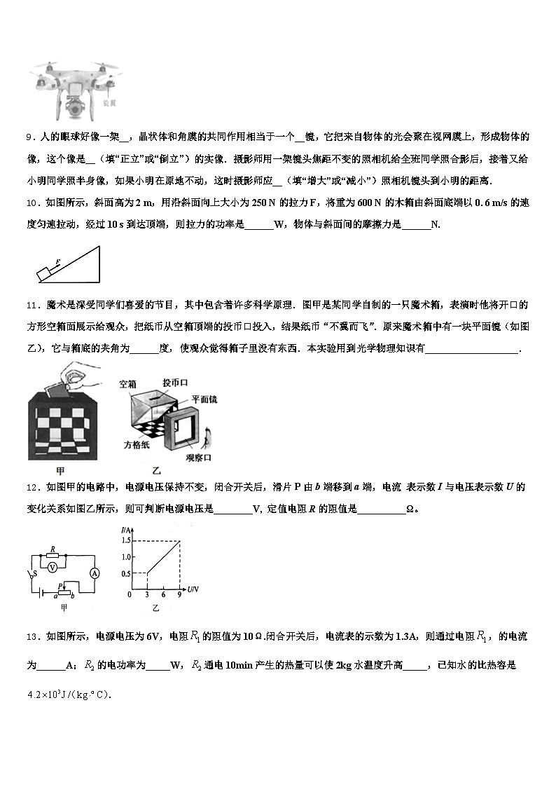 2026年岳阳市中考四模物理试题（含答案解析）第3页