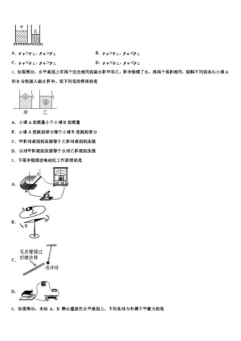 陇南市2026年中考物理最后冲刺浓缩精华卷（含答案解析）第2页