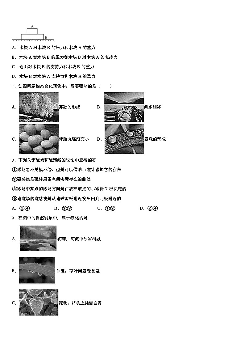 陇南市2026年中考物理最后冲刺浓缩精华卷（含答案解析）第3页