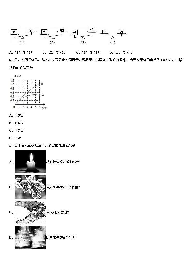 湖北省十堰市2025-2026学年中考二模物理试题（含答案解析）第2页