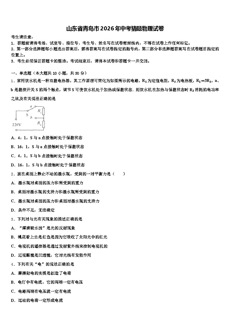 山东省青岛市2026年中考猜题物理试卷（含答案解析）第1页