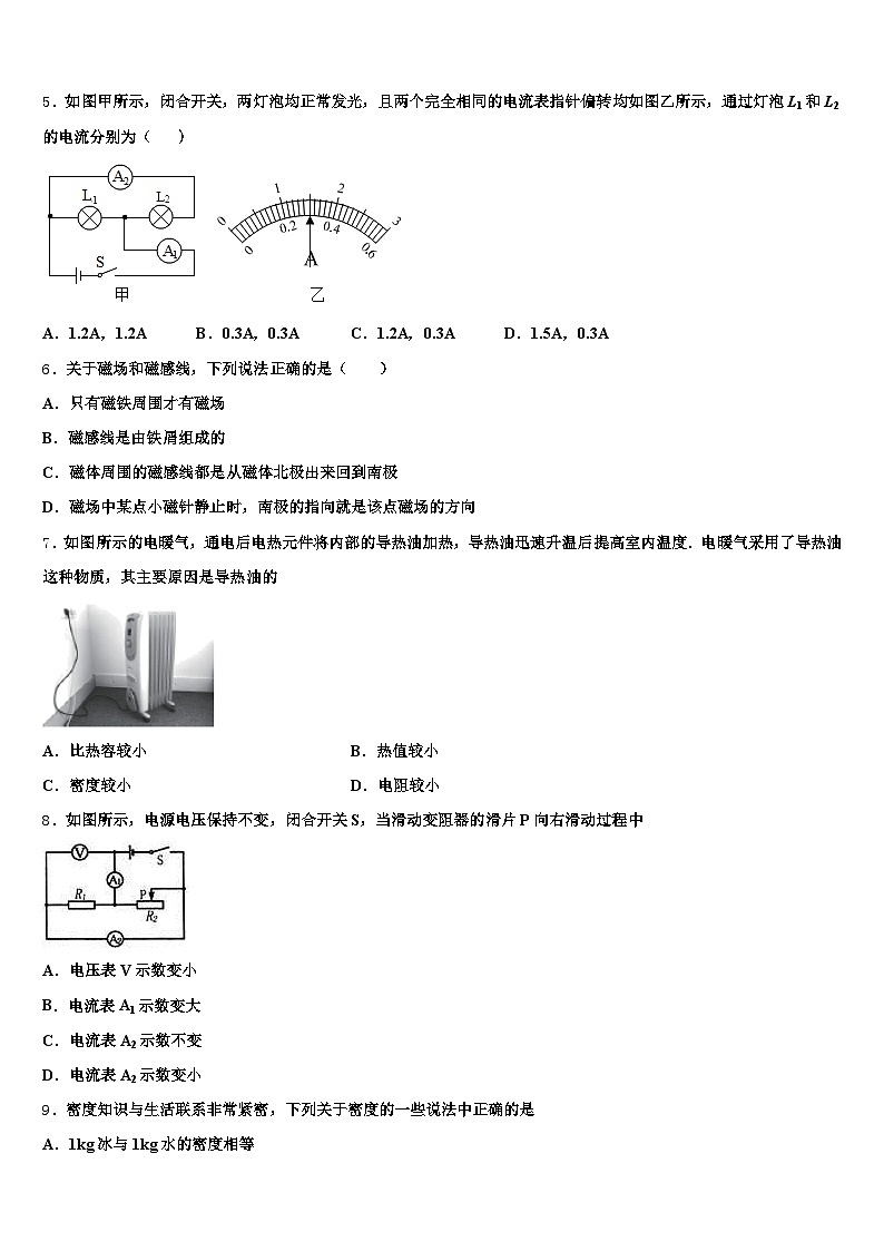山东省青岛市2026年中考猜题物理试卷（含答案解析）第2页