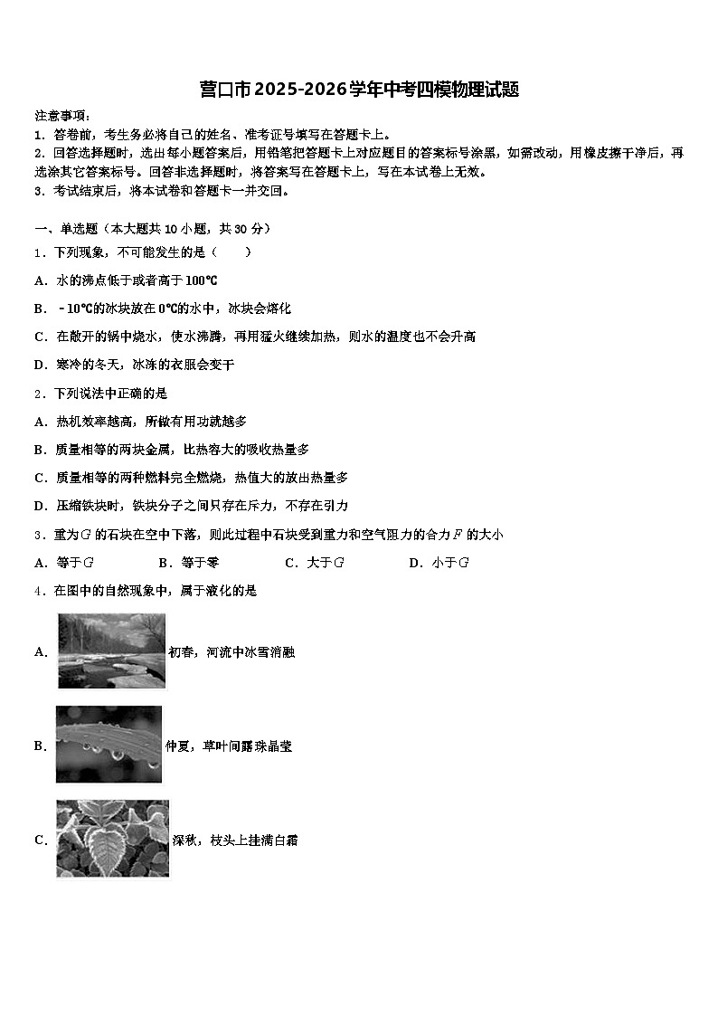 营口市2025-2026学年中考四模物理试题（含答案解析）第1页