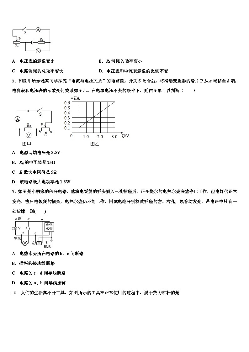 2025-2026学年大庆市中考物理最后冲刺浓缩精华卷（含答案解析）第3页