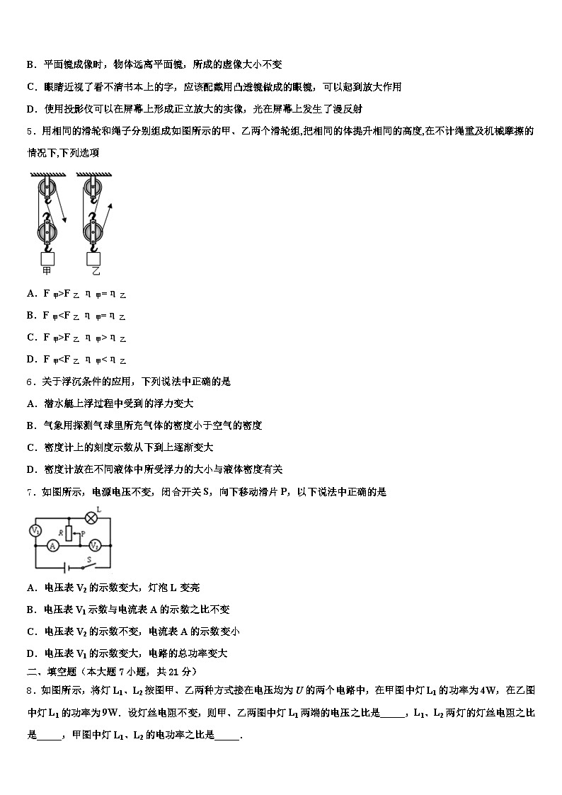 2026年安徽省阜阳市中考三模物理试题（含答案解析）第2页