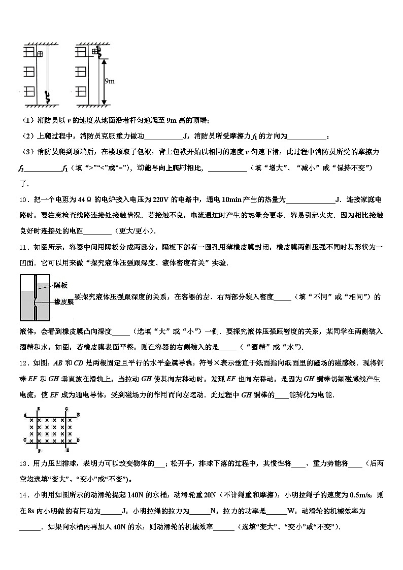2025-2026学年湖南省湘西土家族苗族自治州中考四模物理试题（含答案解析）第3页