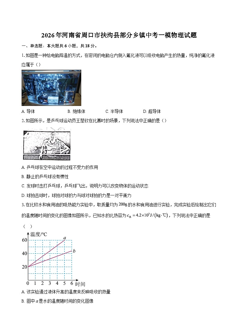 2026年河南省周口市扶沟县部分乡镇中考一模物理试题-自定义类型第1页
