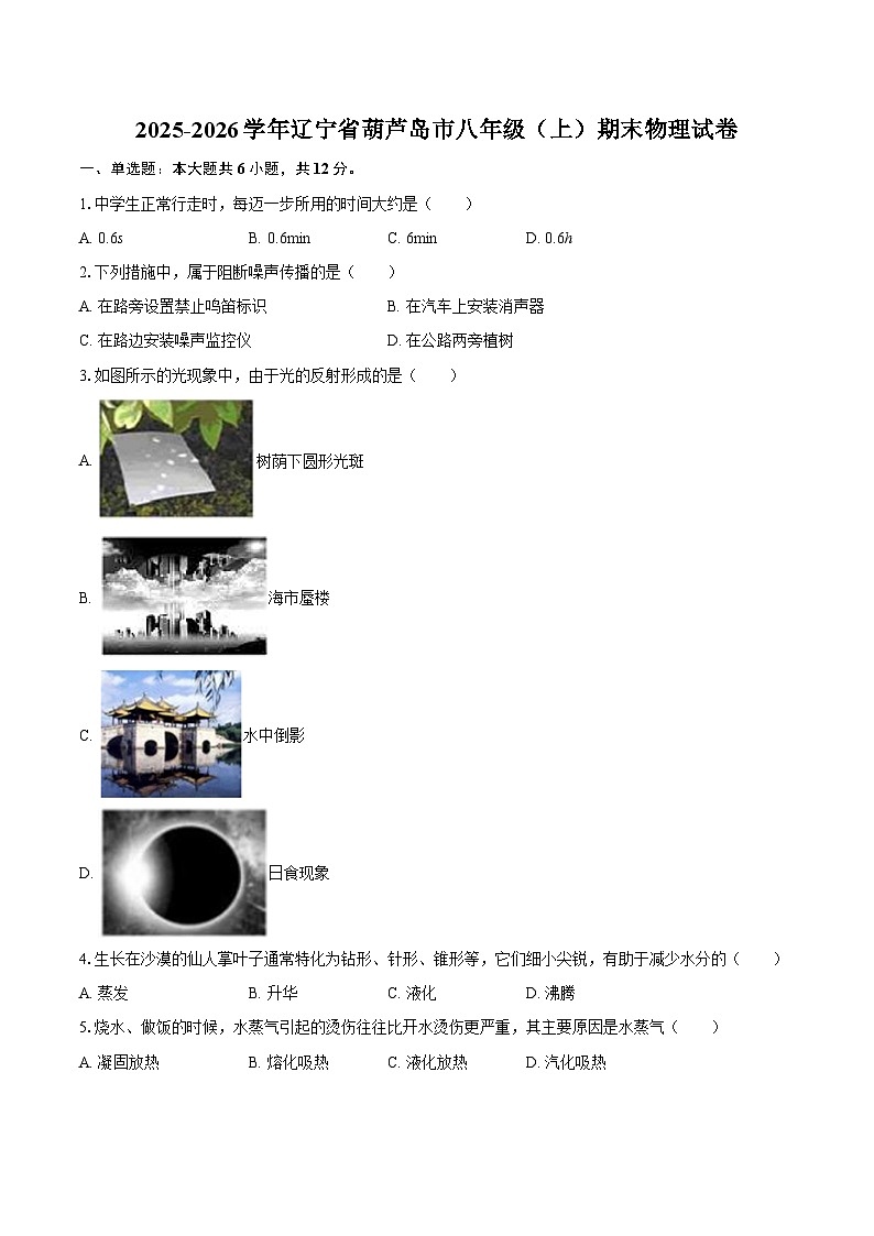 2025-2026学年辽宁省葫芦岛市八年级（上）期末物理试卷-自定义类型第1页