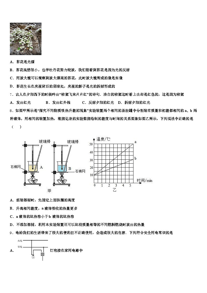 2026年阳泉市中考适应性考试物理试题（含答案解析）第3页
