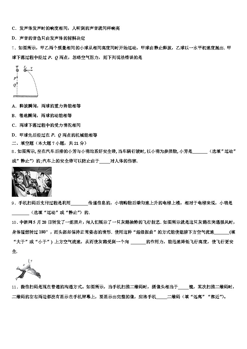 南通市2026年中考联考物理试题（含答案解析）第3页