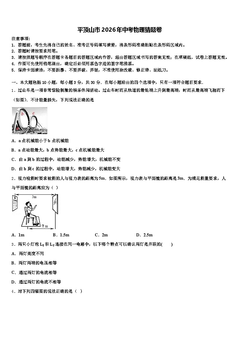 平顶山市2026年中考物理猜题卷（含答案解析）第1页