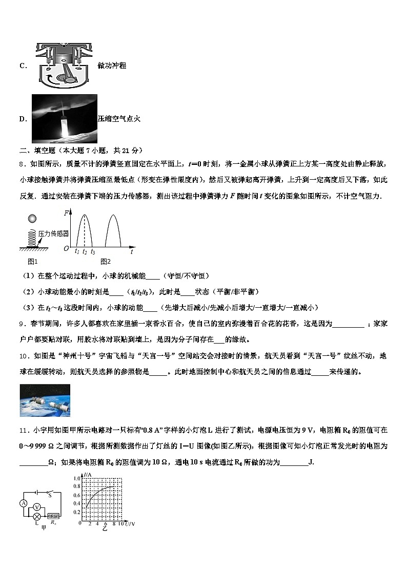 2025-2026学年海南省海口市中考物理五模试卷（含答案解析）第3页