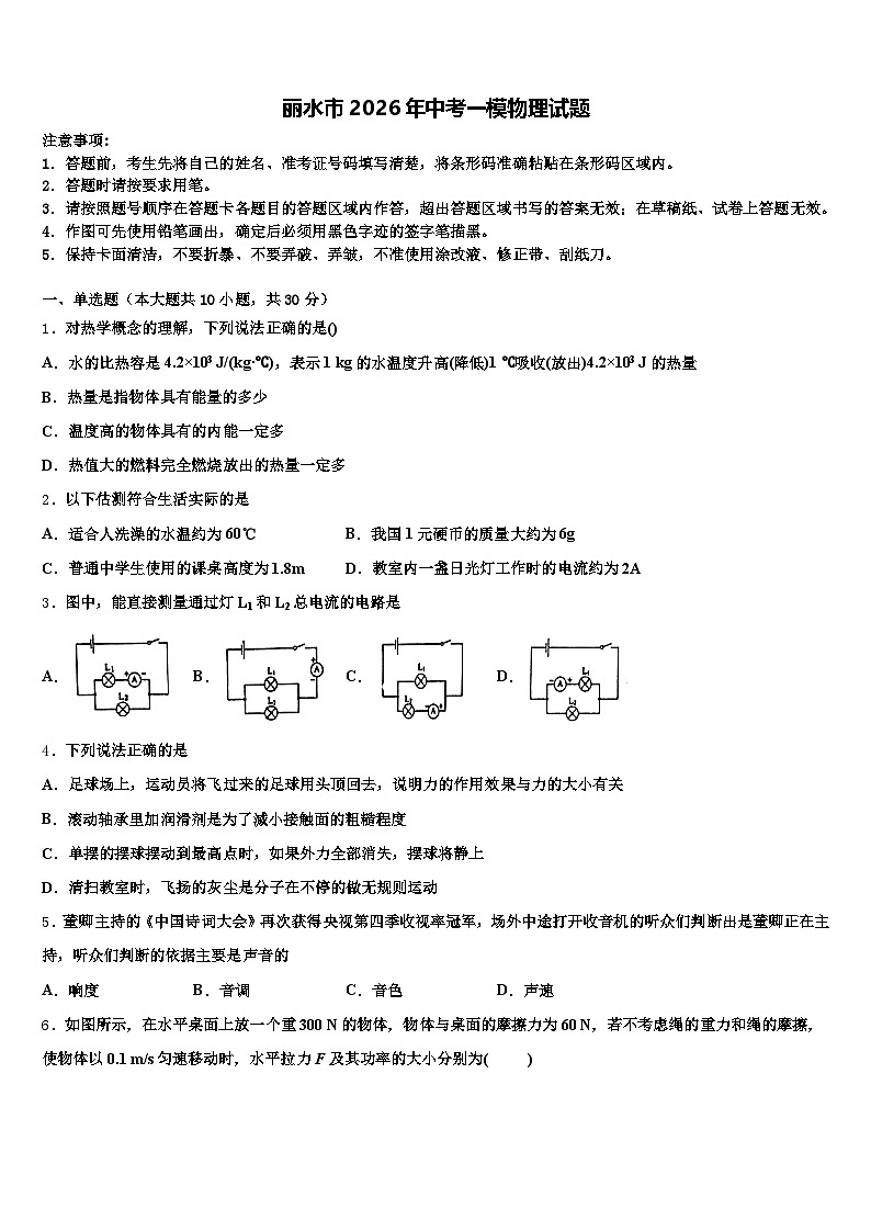 丽水市2026年中考一模物理试题（含答案解析）第1页