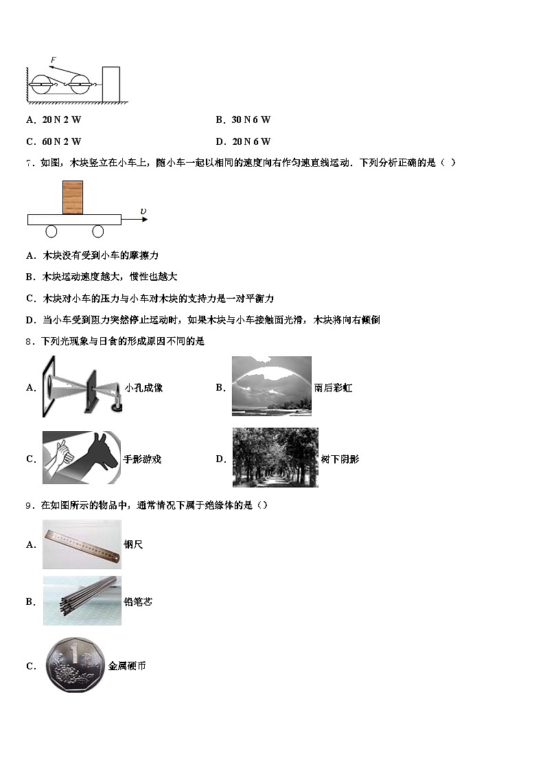 丽水市2026年中考一模物理试题（含答案解析）第2页