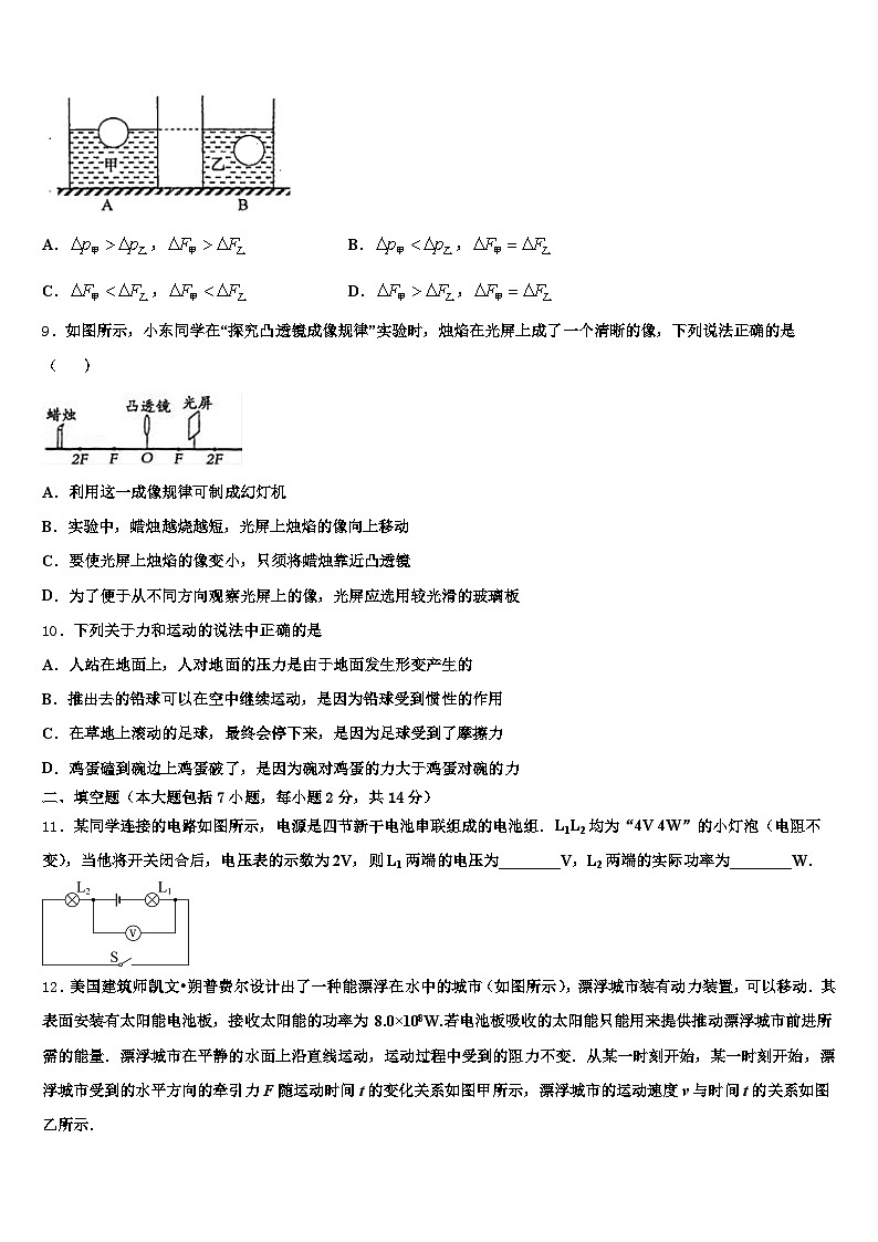 丽江市2025-2026学年中考冲刺卷物理试题（含答案解析）第3页