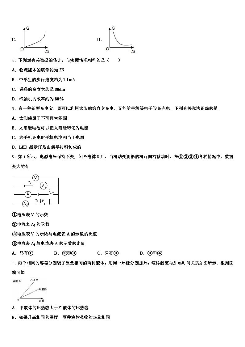 2026届甘肃省定西市中考物理押题试卷（含答案解析）第2页