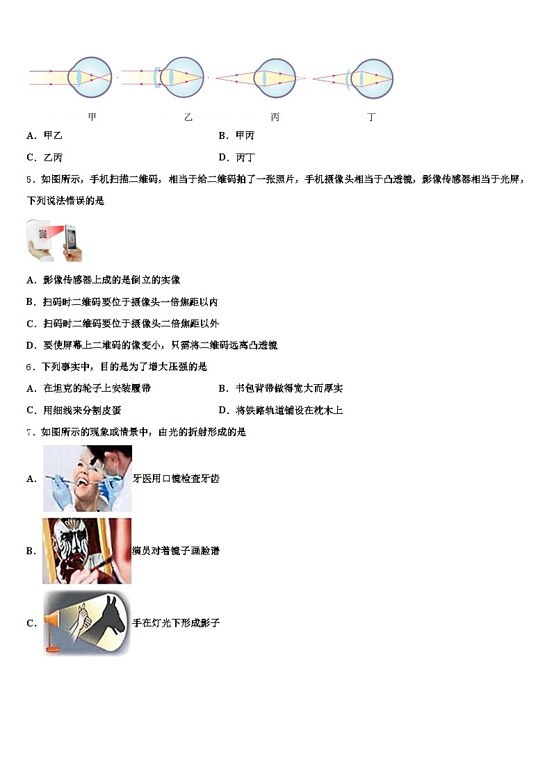 2026年鸡西市中考物理模拟预测题（含答案解析）第2页
